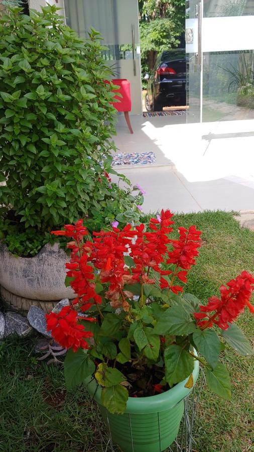 Hôtel Casal Ostara Begonia à Alto Paraíso de Goiás Extérieur photo