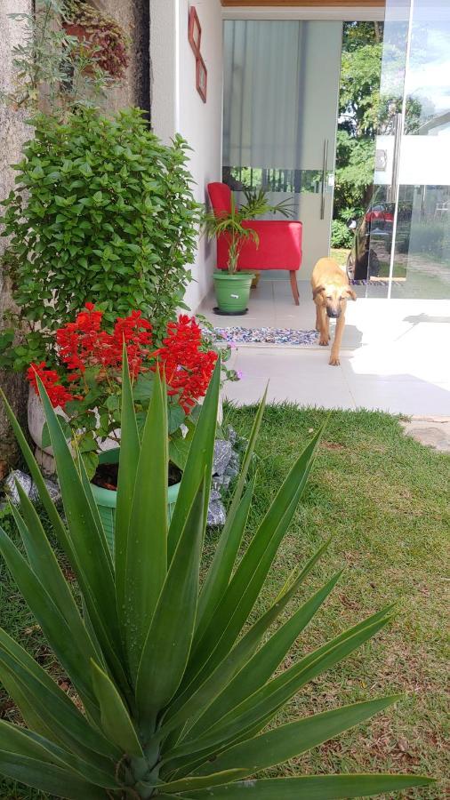 Hôtel Casal Ostara Begonia à Alto Paraíso de Goiás Extérieur photo